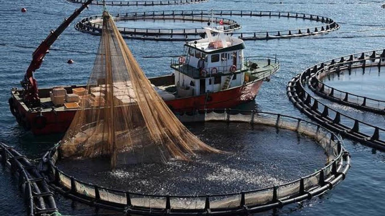 İlgili Haber