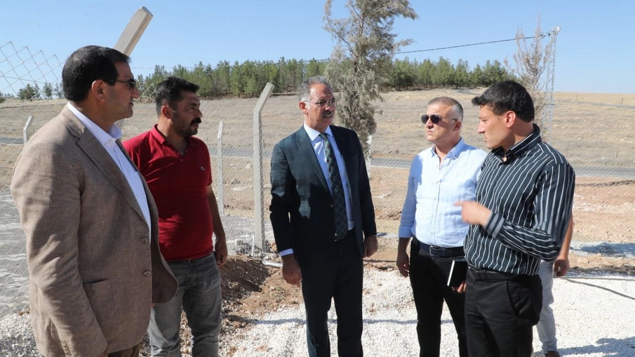 Benzer Haber
