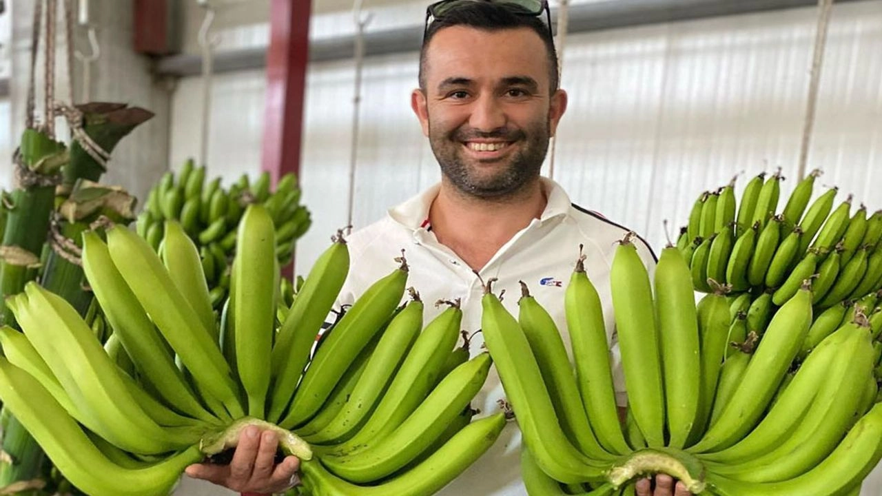 Benzer Haber