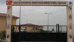 Benzer Haber