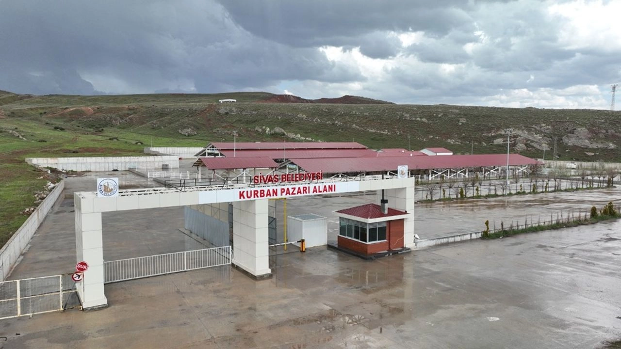 Benzer Haber