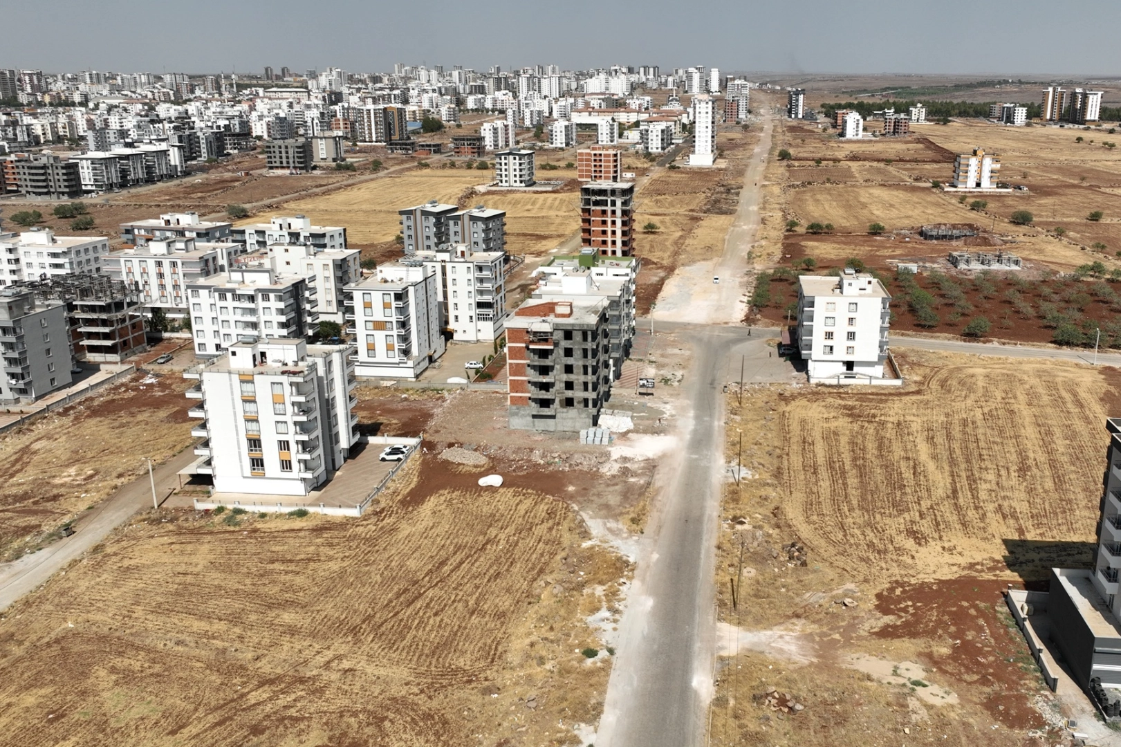 Benzer Haber