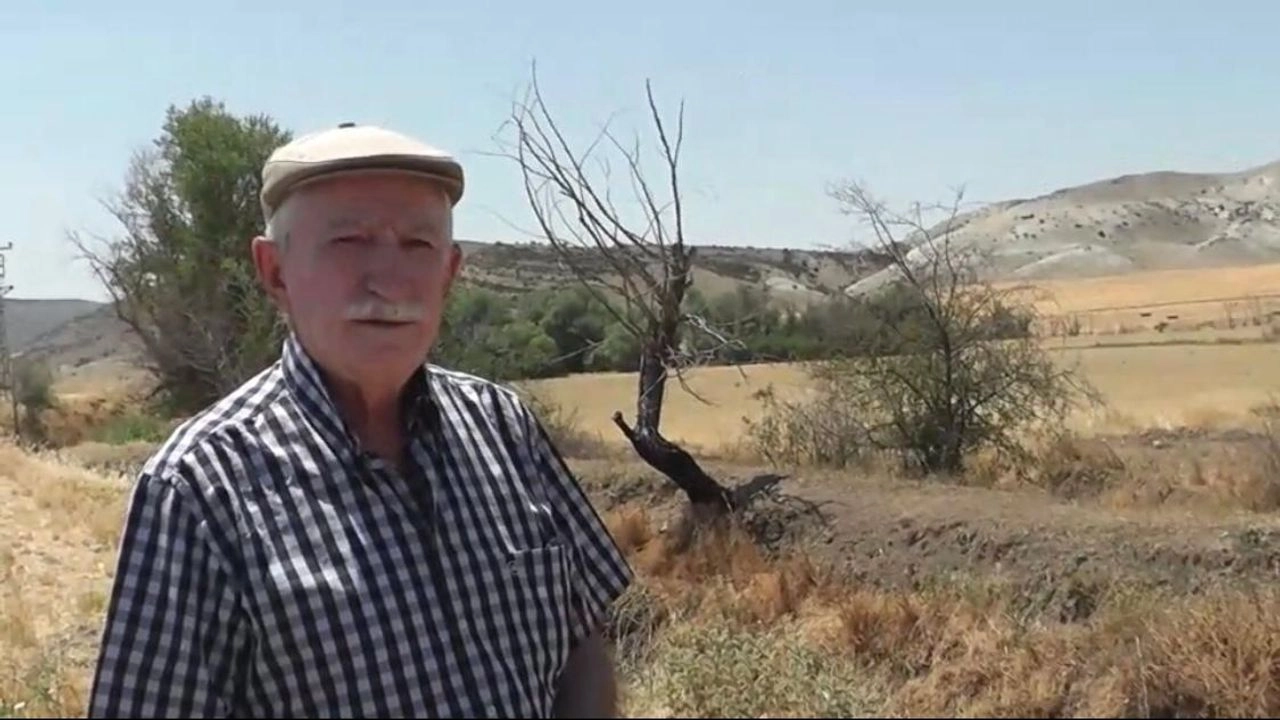 Benzer Haber