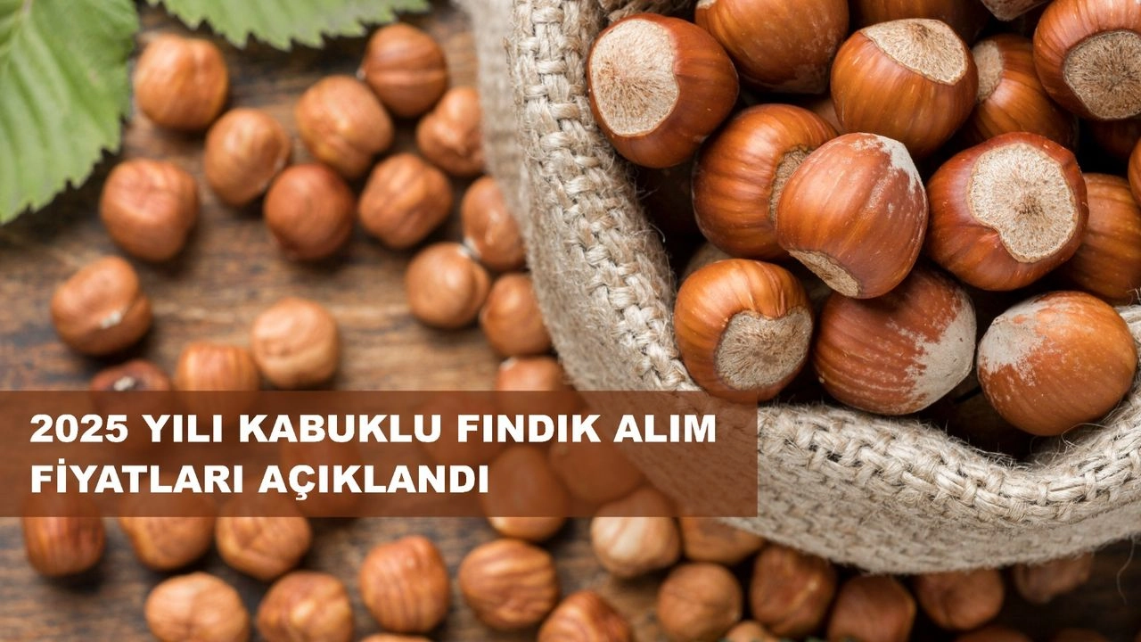 İlgili Haber