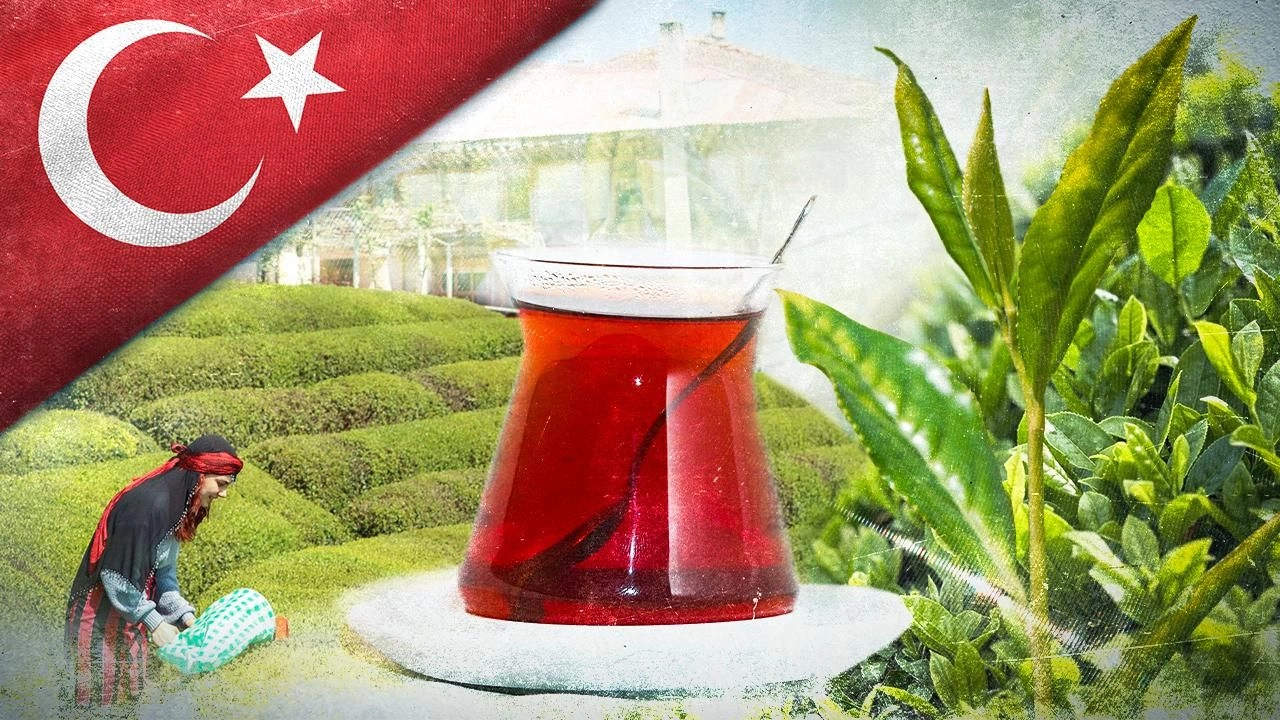İlgili Haber
