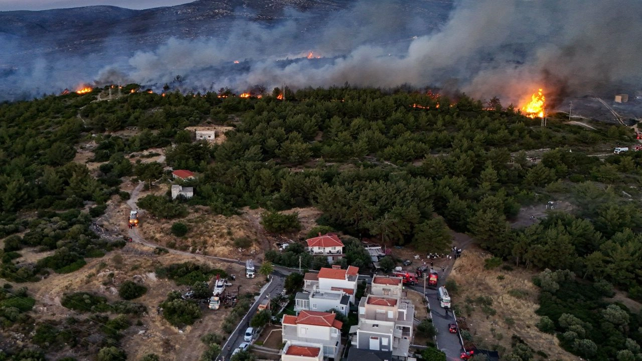 Benzer Haber