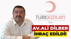Benzer Haber