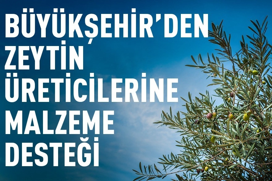 Benzer Haber