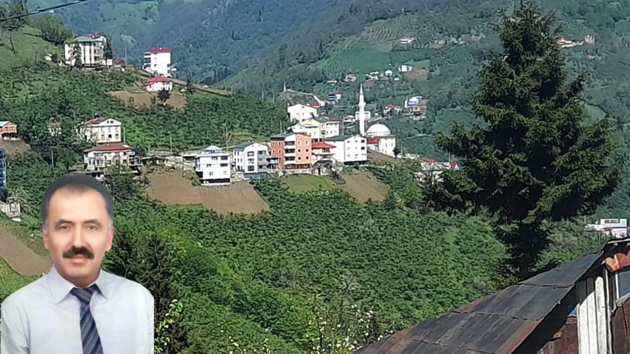 Benzer Haber