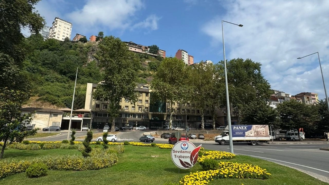 Benzer Haber