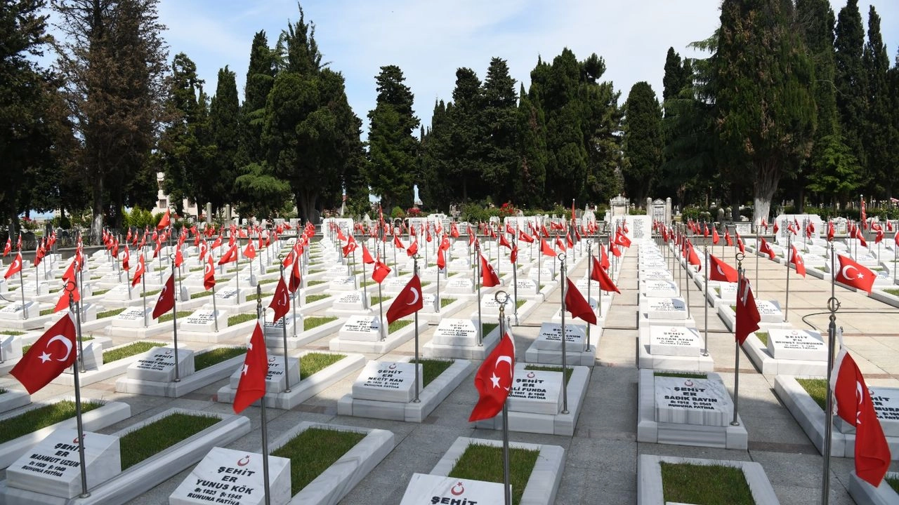 Benzer Haber