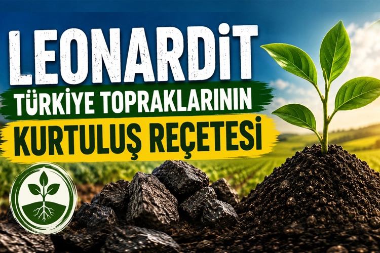 İlgili Haber
