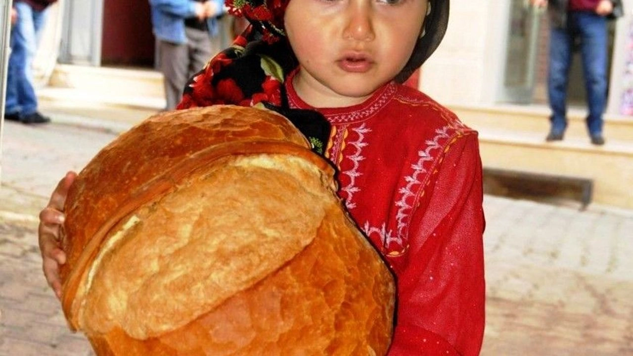 Benzer Haber