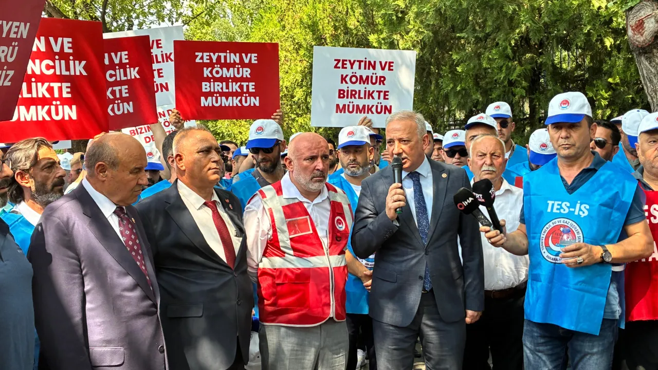 Benzer Haber